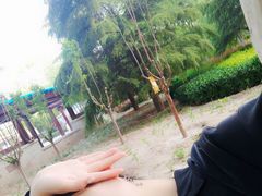 -大兴滨河森林公园