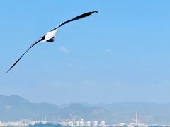-海埂大坝