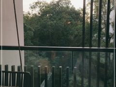 -上海崇明金茂凯悦酒店