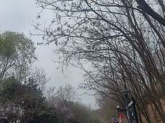 -沈阳辉山风景区