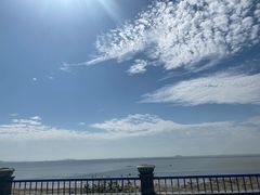 -合肥滨湖国家森林公园