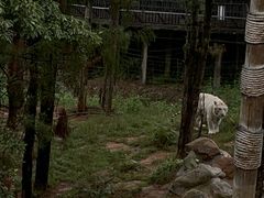 -云南野生动物园