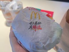 -麦当劳(朝阳北路店)