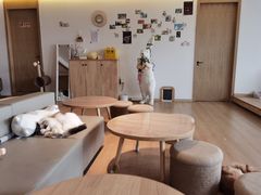 -猫腻·猫咖·撸猫馆(星光大道店)