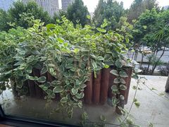 -竹里馆 ·茶食(奥体店)