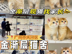-lincat·猫舍(广州店)