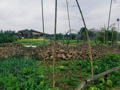 -驿舍·民國老营房院子私房菜(科学会堂店)