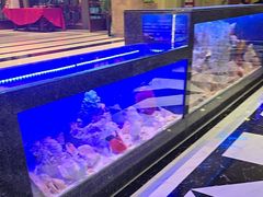 -新海渔港·胶东海鲜家常菜·家宴(奥体中心店)