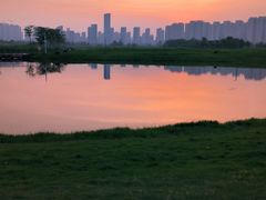 -洋湖国家湿地公园