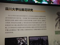 -四川大学博物馆