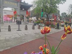 -铁像寺水街