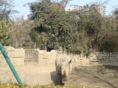 -昆明动物园