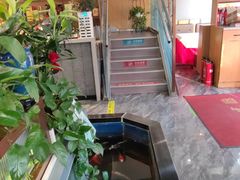 -洞庭家宴·头牌甲鱼(广渠门店)