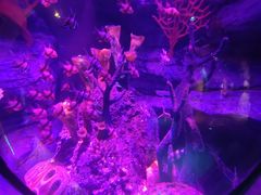 -沈阳海洋探索中心