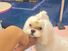 -FAELING PETS美天灵宠物(富力广场店)