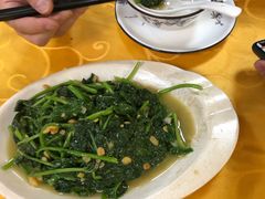 -正宗波记潮州砂锅粥(新洲一街店)