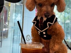 -Dogi&kiki Coffee(中心商务大厦店)