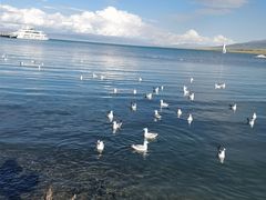 -青海湖国家重点风景名胜区