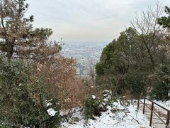 -惠山国家森林公园