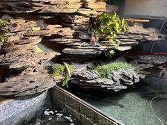 -山水茶艺馆·点心粤菜·30年老字号