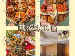 -阳澄湖半岛旅游度假区