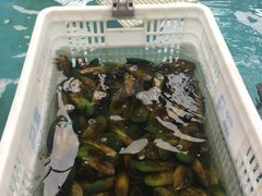 -盒马鲜生(宝地店)