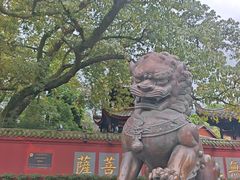 -峨眉山报国寺