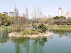 -尚贤河湿地