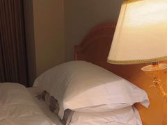 -南京维景国际大酒店(南京博物院店)