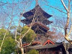 -杭州君悦酒店