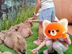 -正佳雨林生态植物园