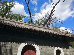 -阳台山自然风景区