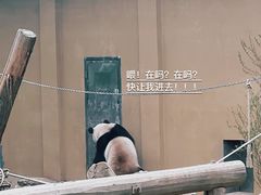 -杭州动物园
