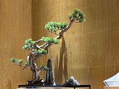 -蝉一日本料理(高新区店)
