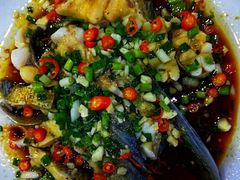 -全乐鱼馆·淳牌有机鱼直营店