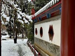 -月坛公园
