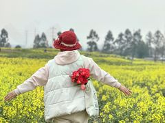 -白鹭湾湿地公园