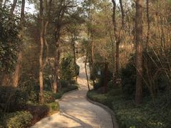 -天目湖涵田半山温泉水乐园