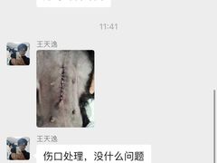 -北京派仕佳德动物医院·超导核磁·CT·神经科·骨科·内外科·急重症管理中心