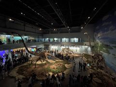 -自贡恐龙博物馆