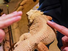 -正佳雨林生态植物园