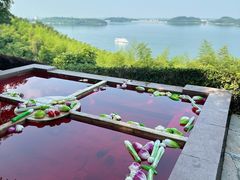 -天目湖涵田半山温泉