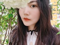 -大龙山(地铁站)