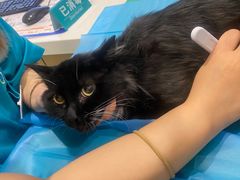 -美迦爱-牙专科·兔科·骨科诊疗中心(北苑店)
