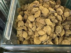 -苏州蜜字牌蜜饯(东环店)