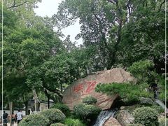-江心屿景区