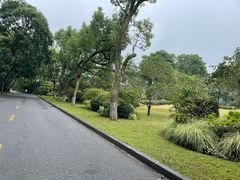 -浙江西子宾馆·瑶园咖啡厅