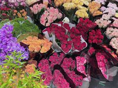 -双季花艺园艺市场(浦东店)