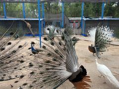 -森林公园(尖草坪区)