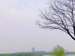 -灞河西岸滨河公园